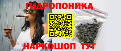 ALPHA PVP Гатчина